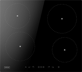 Induktionsfeld Reparatur Nienburg